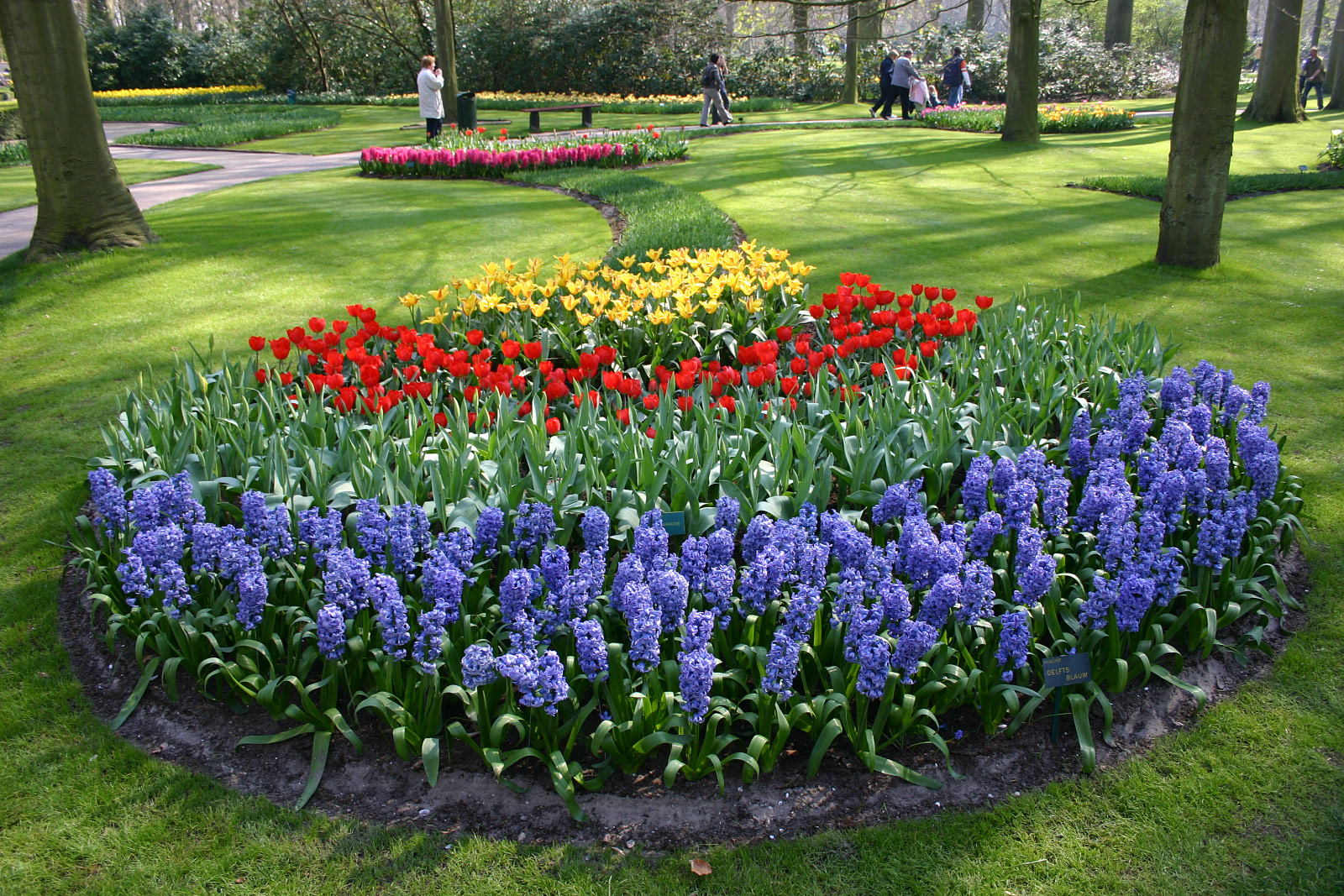 Keukenhof, Lisse